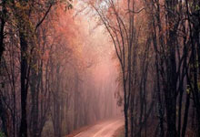 天涯论坛煮酒论史排名大揭秘，不看不知道原来历史大佬这么可怕！